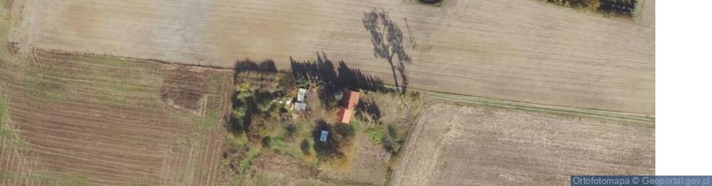 Zdjęcie satelitarne Sitno ul.