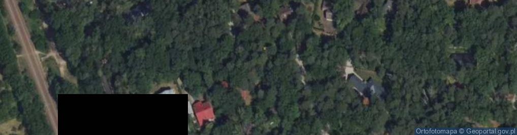 Zdjęcie satelitarne Sinych Mgieł ul.