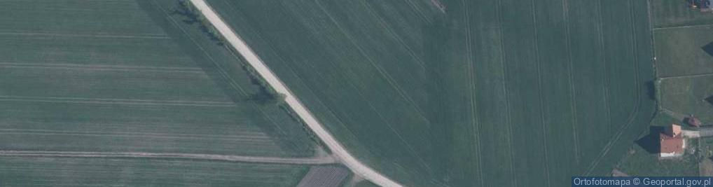 Zdjęcie satelitarne Skrzypu Polnego ul.