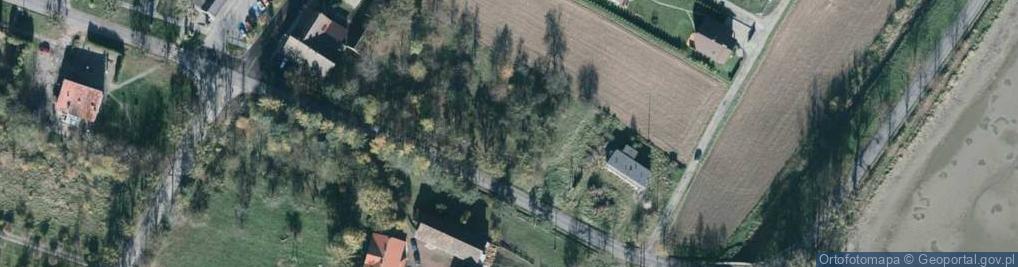 Zdjęcie satelitarne Skoczowska ul.