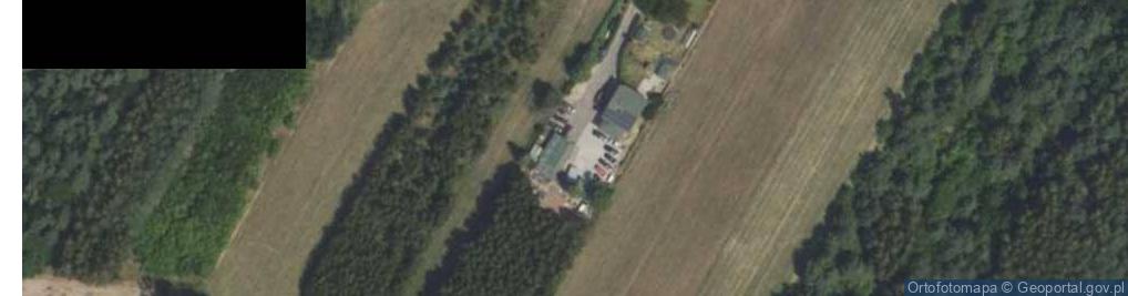 Zdjęcie satelitarne Skierniewicka ul.