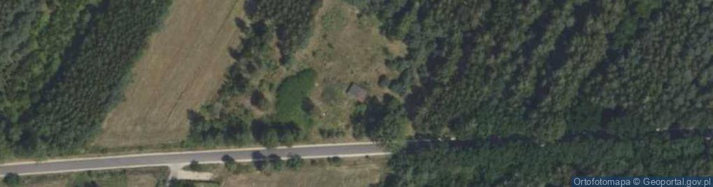 Zdjęcie satelitarne Skierniewicka ul.