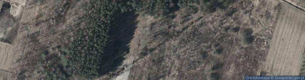 Zdjęcie satelitarne Skowronka ul.