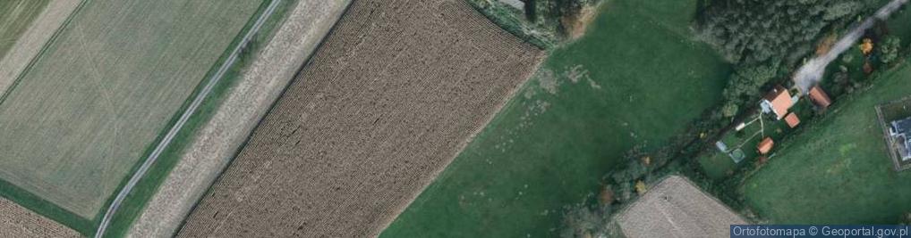 Zdjęcie satelitarne Skoczowska ul.