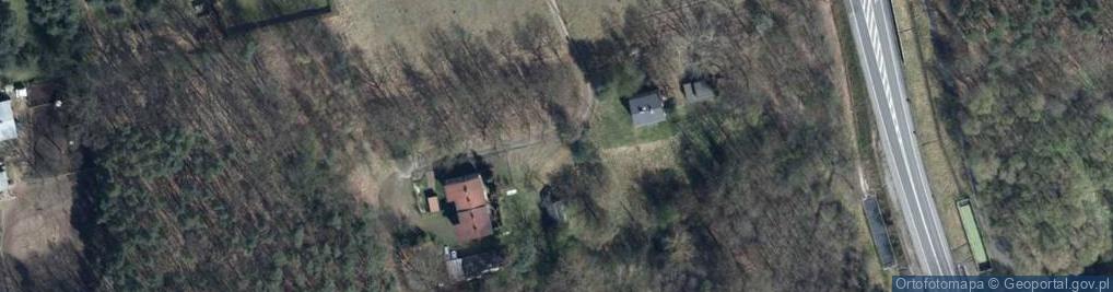 Zdjęcie satelitarne Skłodowskiej-Curie Marii ul.