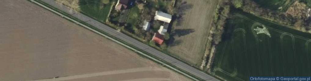 Zdjęcie satelitarne Skierniewicka ul.