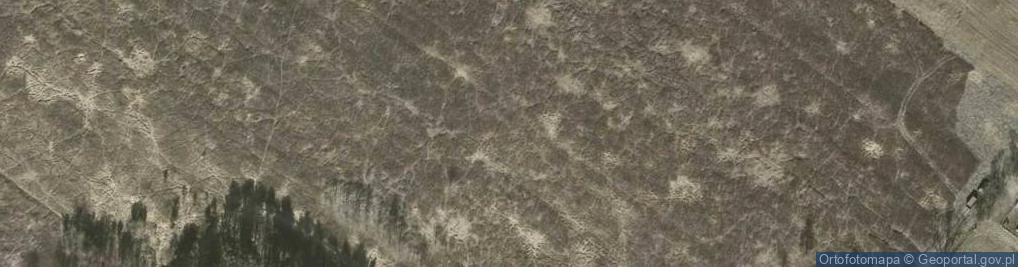 Zdjęcie satelitarne Skautów ul.