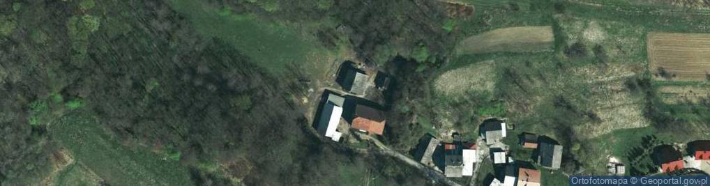 Zdjęcie satelitarne Skałki ul.