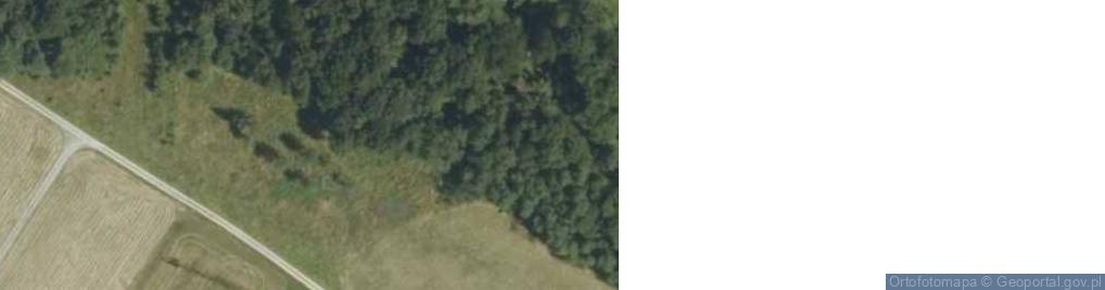 Zdjęcie satelitarne Skalna ul.