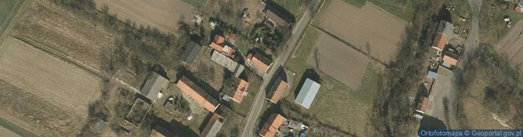 Zdjęcie satelitarne Skała ul.