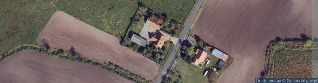 Zdjęcie satelitarne Skalmierowice ul.