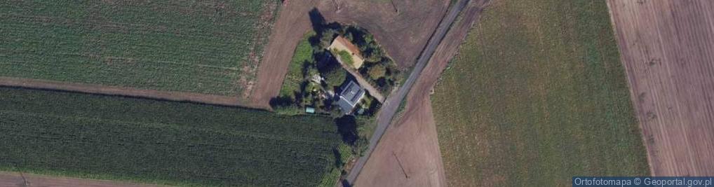 Zdjęcie satelitarne Skalmierowice ul.