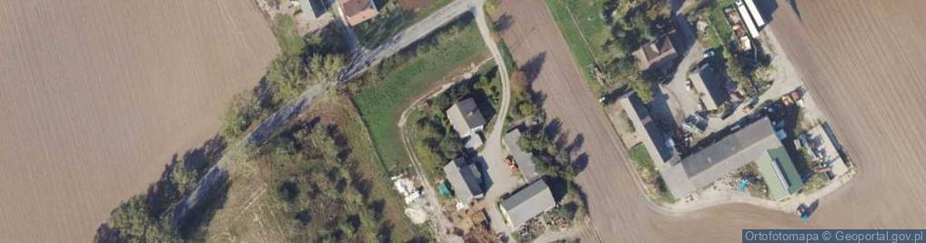 Zdjęcie satelitarne Skalmierowice ul.