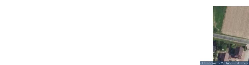 Zdjęcie satelitarne Skalmierz ul.