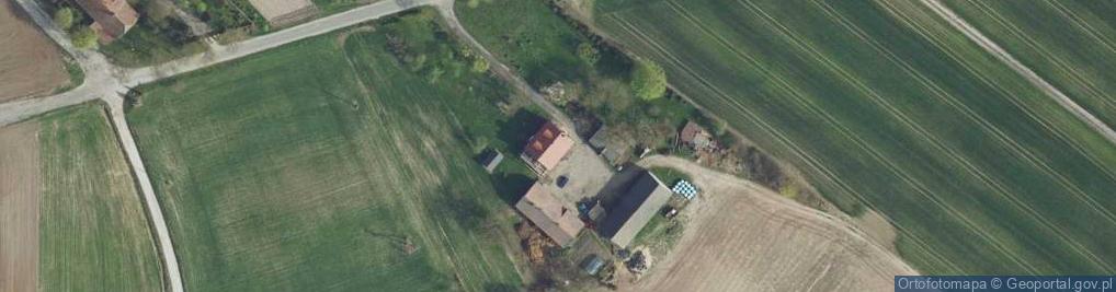 Zdjęcie satelitarne Skarbiewo ul.
