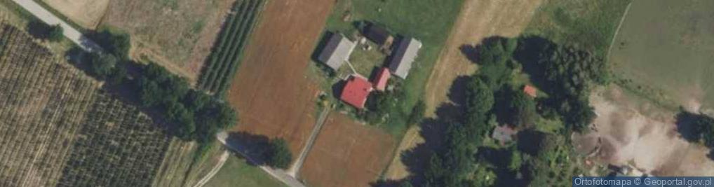 Zdjęcie satelitarne Skarbikowo ul.