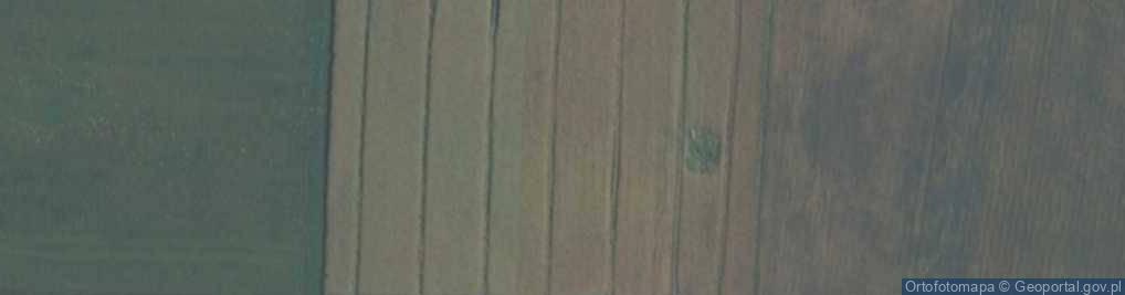 Zdjęcie satelitarne Skarlin ul.