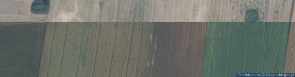 Zdjęcie satelitarne Skarlin ul.