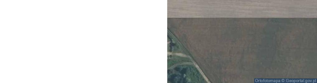 Zdjęcie satelitarne Skarlin ul.