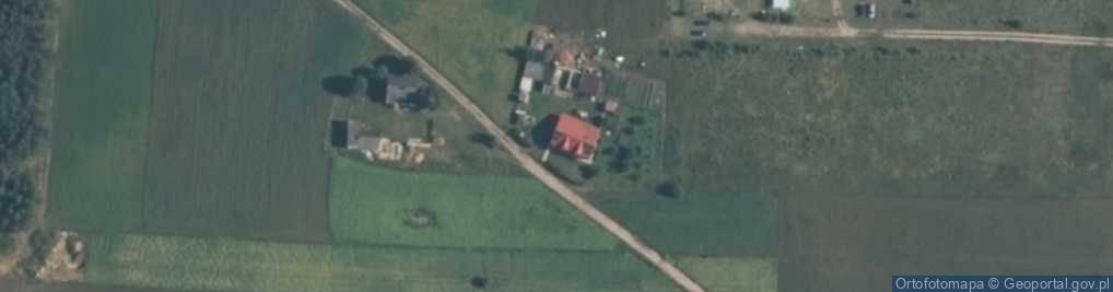 Zdjęcie satelitarne Skarlin ul.