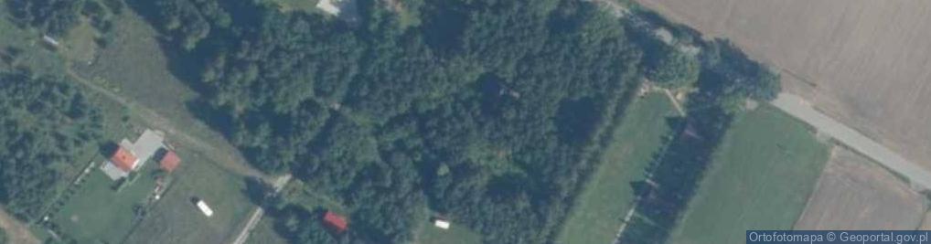 Zdjęcie satelitarne Skarpa ul.