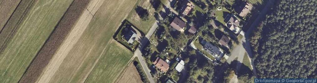 Zdjęcie satelitarne Skarszew ul.