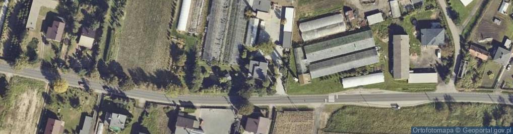 Zdjęcie satelitarne Skarszewek ul.