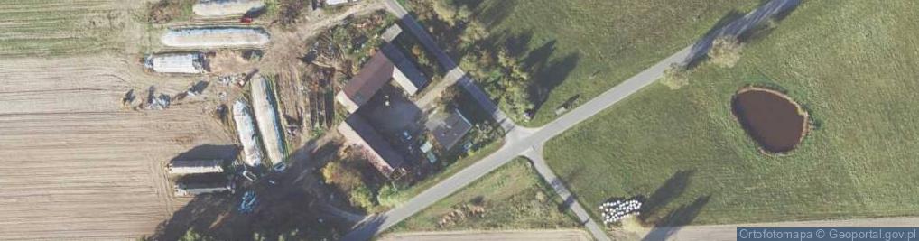 Zdjęcie satelitarne Skarydzew ul.