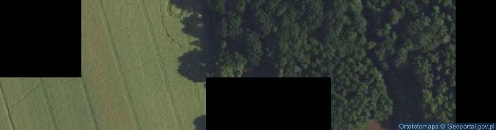 Zdjęcie satelitarne Skarżyce ul.