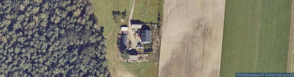 Zdjęcie satelitarne Skęczniew ul.