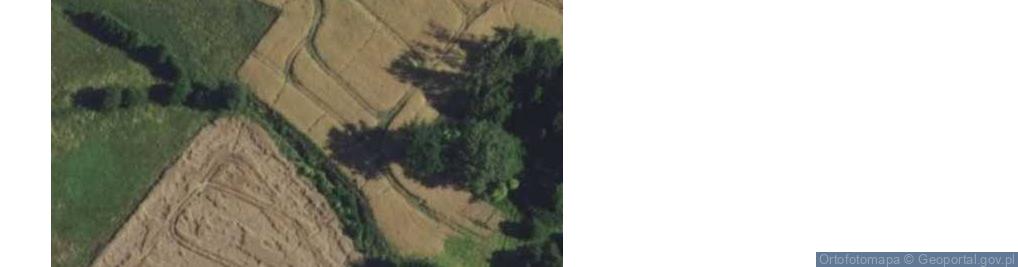 Zdjęcie satelitarne Skitno ul.