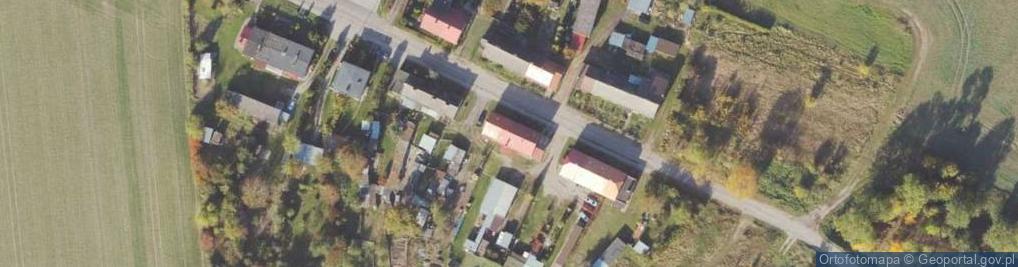 Zdjęcie satelitarne Skoki ul.