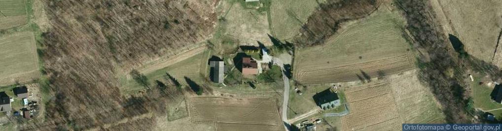 Zdjęcie satelitarne Skołyszyn ul.