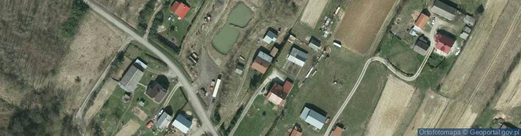 Zdjęcie satelitarne Skopów ul.
