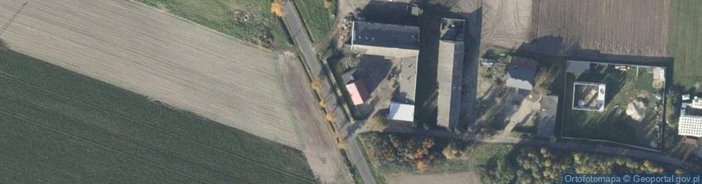 Zdjęcie satelitarne Skoraszewice ul.