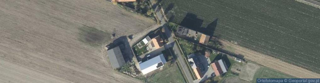 Zdjęcie satelitarne Skoraszewice ul.