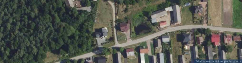 Zdjęcie satelitarne Skorupy ul.