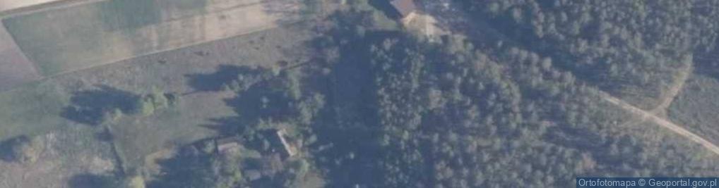 Zdjęcie satelitarne Skórzenno ul.