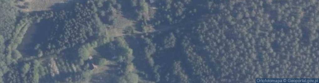 Zdjęcie satelitarne Skórzenno ul.