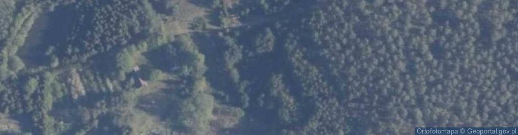 Zdjęcie satelitarne Skórzenno ul.