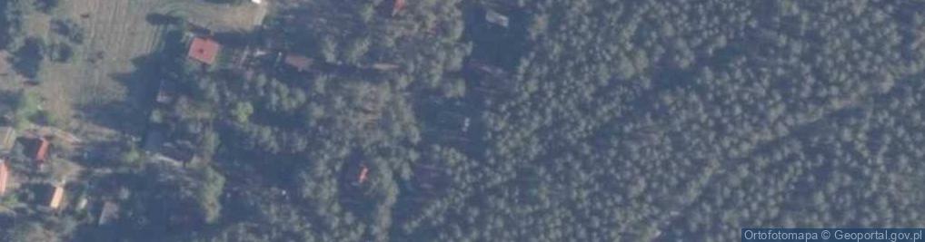 Zdjęcie satelitarne Skórzenno ul.