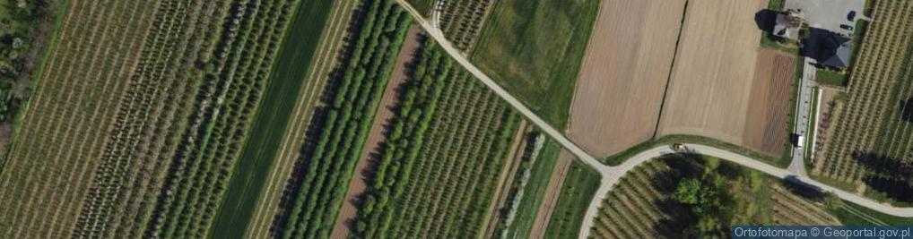 Zdjęcie satelitarne Skotniki ul.