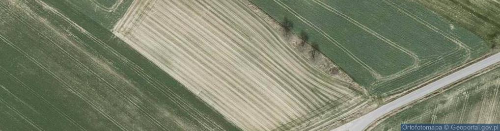 Zdjęcie satelitarne Skotniki ul.