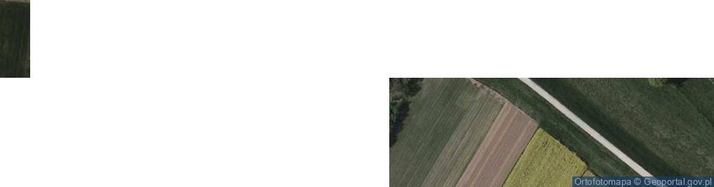 Zdjęcie satelitarne Skowierzyn ul.