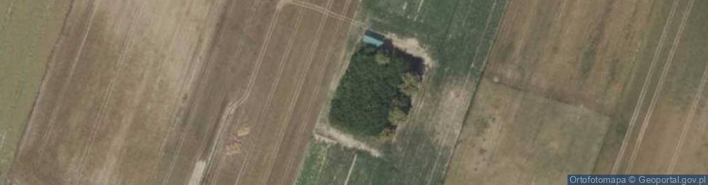 Zdjęcie satelitarne Skrzany ul.