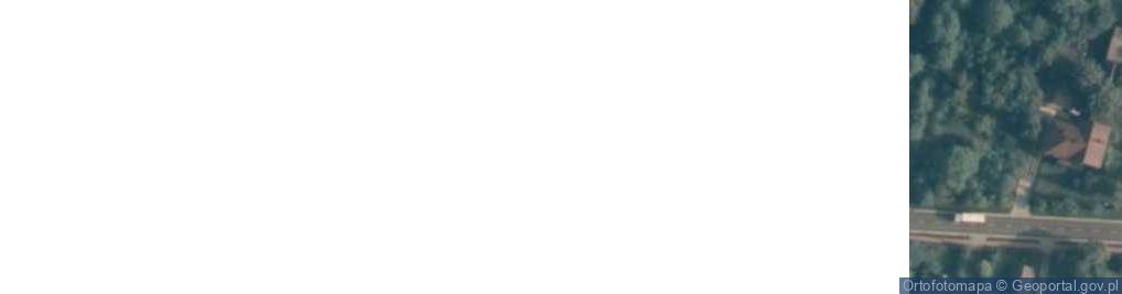 Zdjęcie satelitarne Skrzeszew ul.
