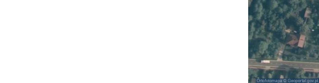 Zdjęcie satelitarne Skrzeszew ul.