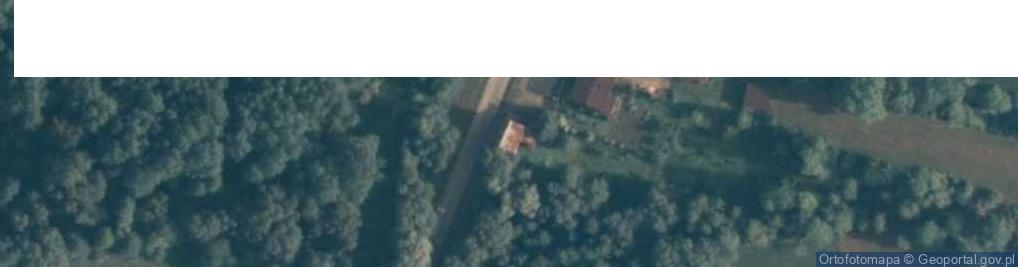 Zdjęcie satelitarne Skrzeszew ul.