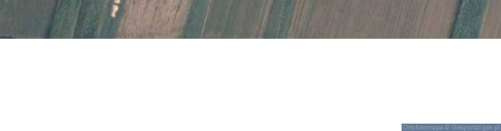 Zdjęcie satelitarne Skrzeszew ul.