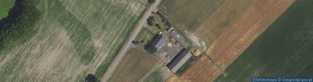 Zdjęcie satelitarne Skrzeszewy ul.
